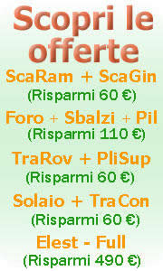 Schema verbale visita di collaudo in corso d'opera